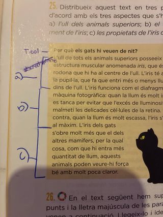 Agna de Valldaura 1 ESO. Llengua catalana