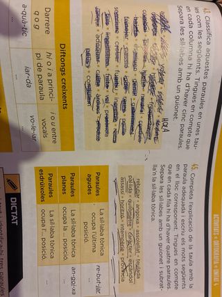 Agna de Valldaura 1 ESO. Llengua catalana