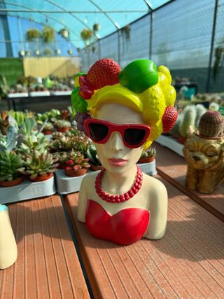 Maceta Decorativa Mujer Frutas