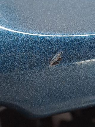 MANETA EXTERIOR TRASERA DERECHA NISSAN MICRA IV (K13K, K13KK