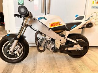 Minimoto Polini