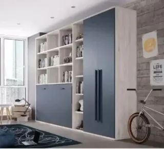 COMPOSICION DE CAMA ABATIBLE AREA JOVEN.