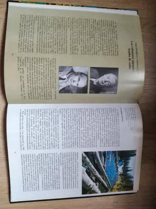 Colección libros: El cuerpo humano