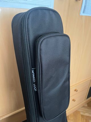 Ibanez AS53 TF  y funda