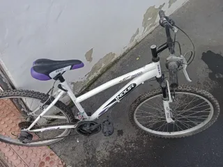 Bicicleta INDUR 2650 Niña