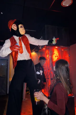 Animación con Zancudos