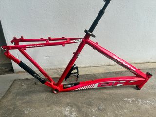 Cuadro BH Spyro Rojo