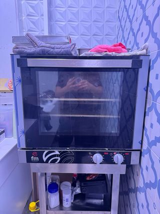 Horno FM Profesional