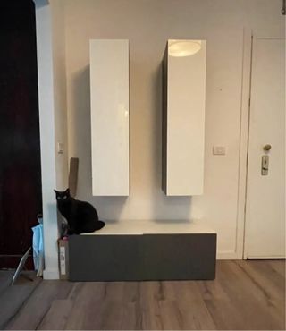 Mobile TV con 2 colonne