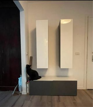 Mobile TV con 2 colonne