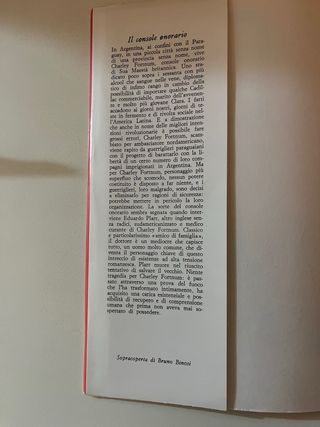 Libro Il console onorario