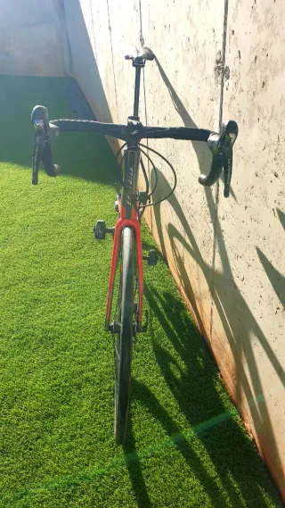 Bicicleta Carretera Giant TCR Advanced 1Disc -2019