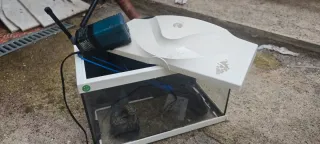 Pecera pequeña blanca y turquesa