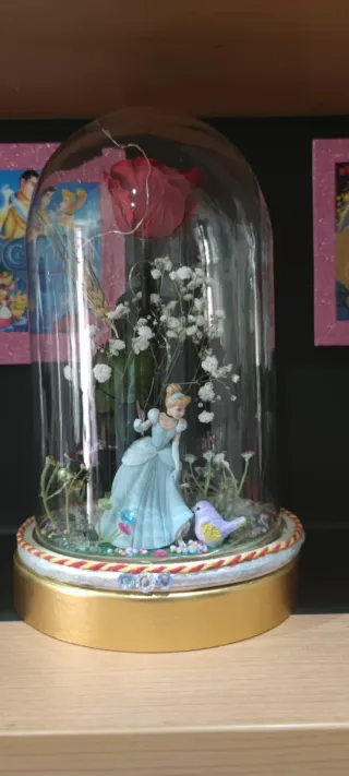 Cúpula Cenicienta con Rosa Liofilizada