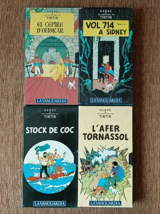 Lote 11 VHS Tintín (Catalán)