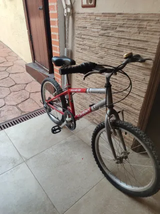 Bicicleta infantil roja y plateada