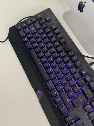 Teclado Gaming Razer BlackWidow V2