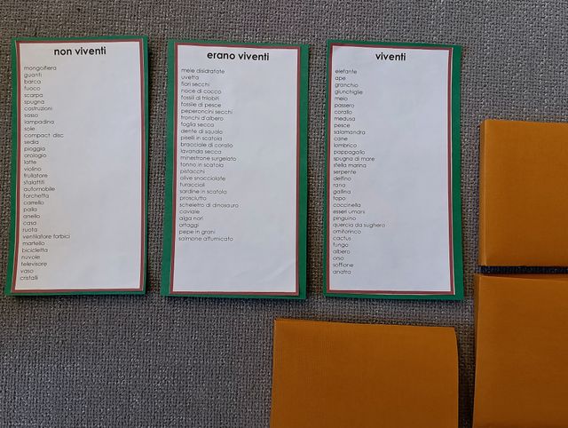 Montessori: viventi, non viventi, erano viventi