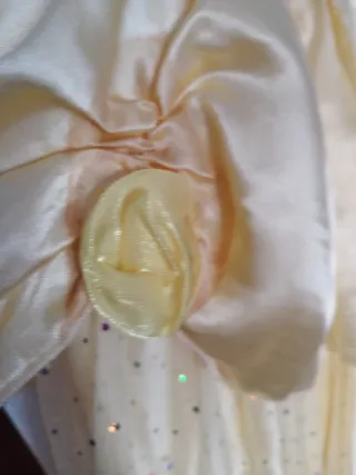 Disfraz Bella Princesa