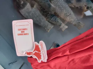 Conjunto Danza Vientre XXL