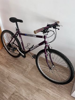 Bicicleta Dakota Morada HB
