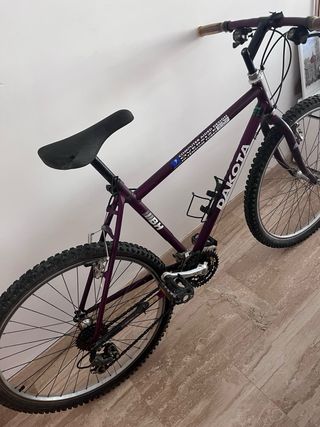 Bicicleta Dakota Morada HB