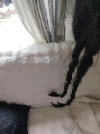 Peluca negra con coletas