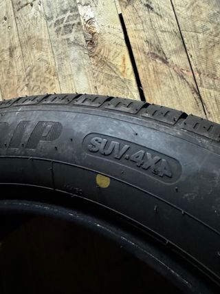 Neumáticos Goodyear EfficientGrip 225/55R19 99V