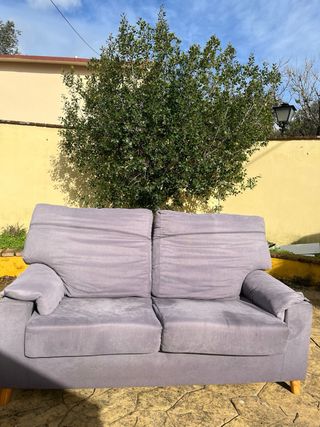 Sofá de 2 plazas gris