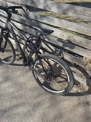 Bicicleta Montaña Orbea Master