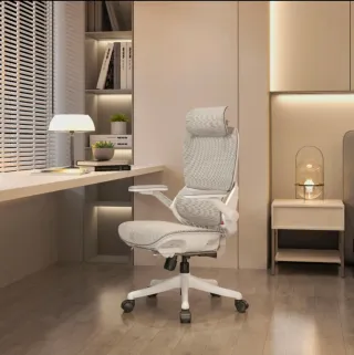 SIHOO Silla Ergonómica B100