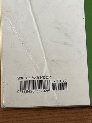 La jefa de la banda (Spanish Edition)