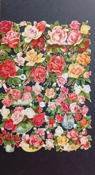 Lámina Cromos Troquelados EAS 3137