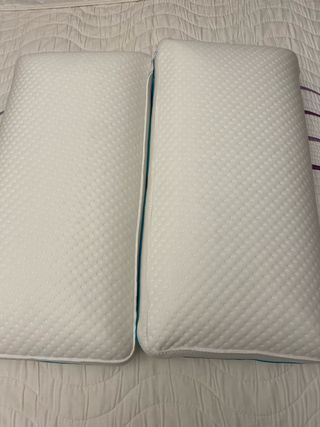 2 Almohadas Marmota 70x40cm Nuevas