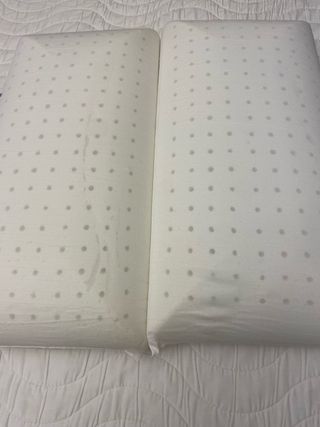 2 Almohadas Marmota 70x40cm Nuevas