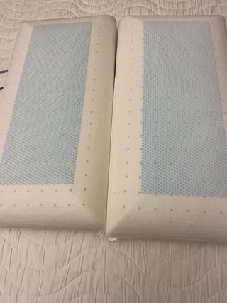 2 Almohadas Marmota 70x40cm Nuevas