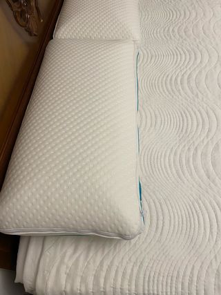 2 Almohadas Marmota 70x40cm Nuevas