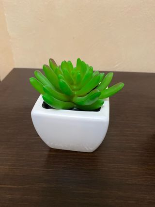 Plantas artificiales decorativas (2 unidades)