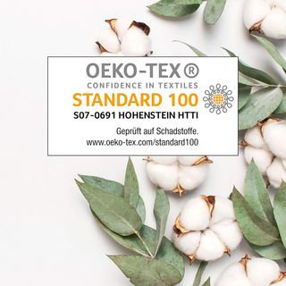 Julius Zöllner - Cambiador con 2 cuñas, cumple con