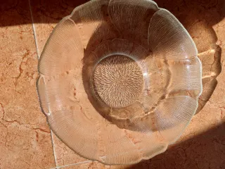 Frutero Arcoroc Vintage Flor Transparente