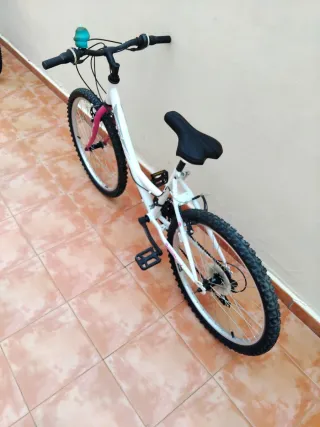 Bicicleta 24 pulgadas