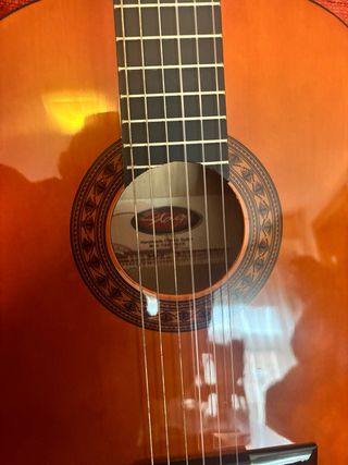 Guitarra Stagg Marrón con Funda