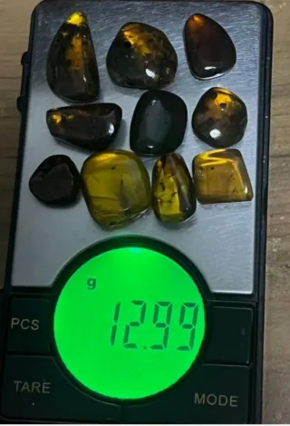 Insectos Fósil en Ámbar, 10/15/28.