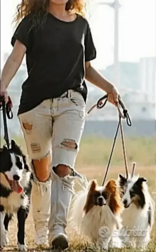 Scandolara Ravara (CR) assisten. anziani colf baby