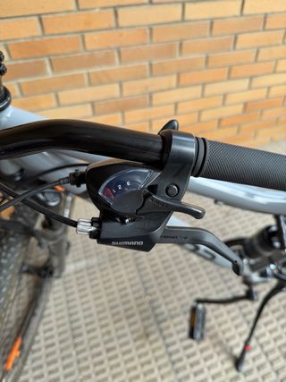 Bicicleta Montaña Rock FS 29