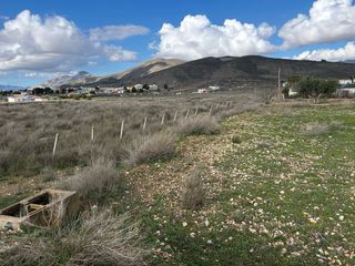 Se vende parcela en Hondón de los Frailes,