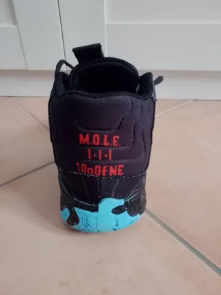 Zapatillas Baloncesto