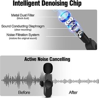 Doppio Microfono Wireless per Smartphone Audio