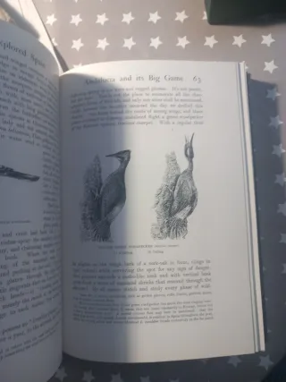 Abel Chapman: Unexplored Spain (Incafo 1978)