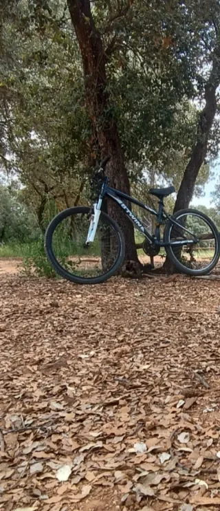 Bicicleta Rockrider BTWIN